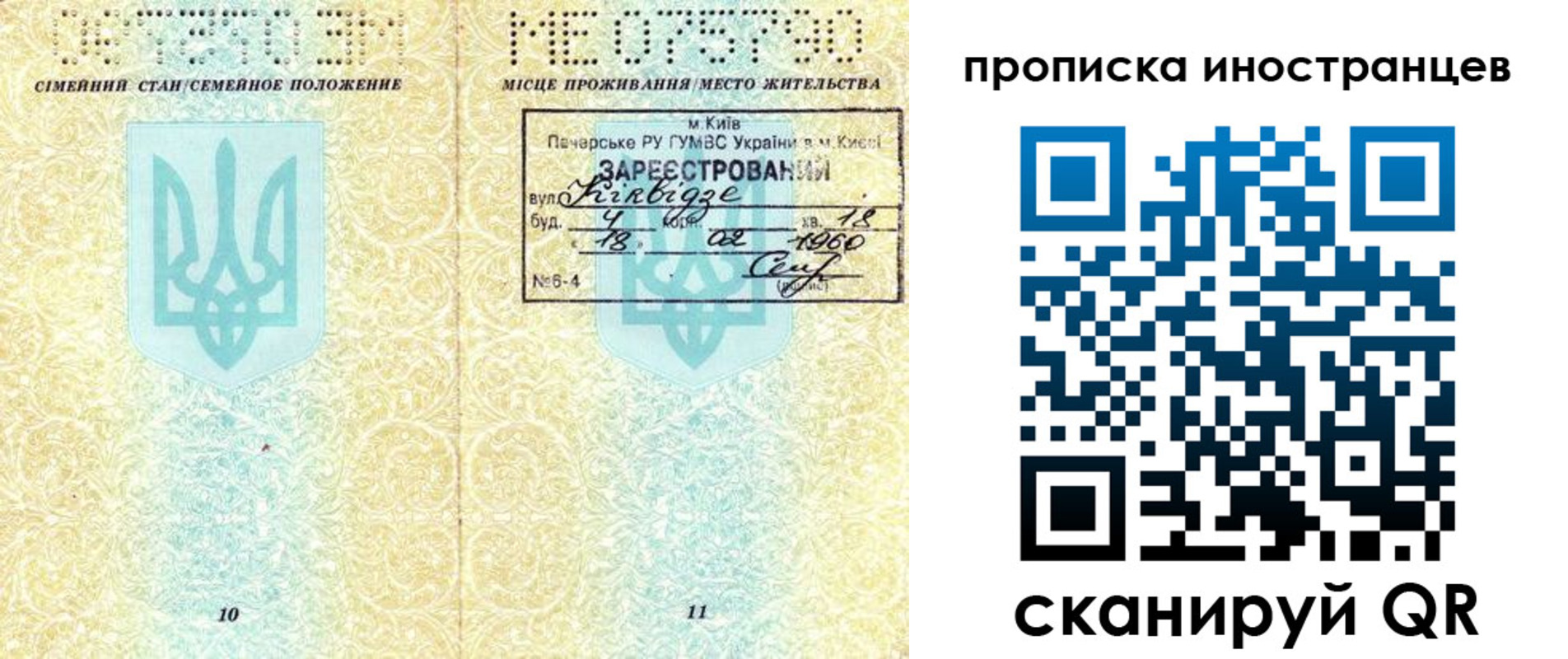 купить прописку в Покрове